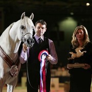 ¸Escape Ibn Navarrone D 1  83.jpg