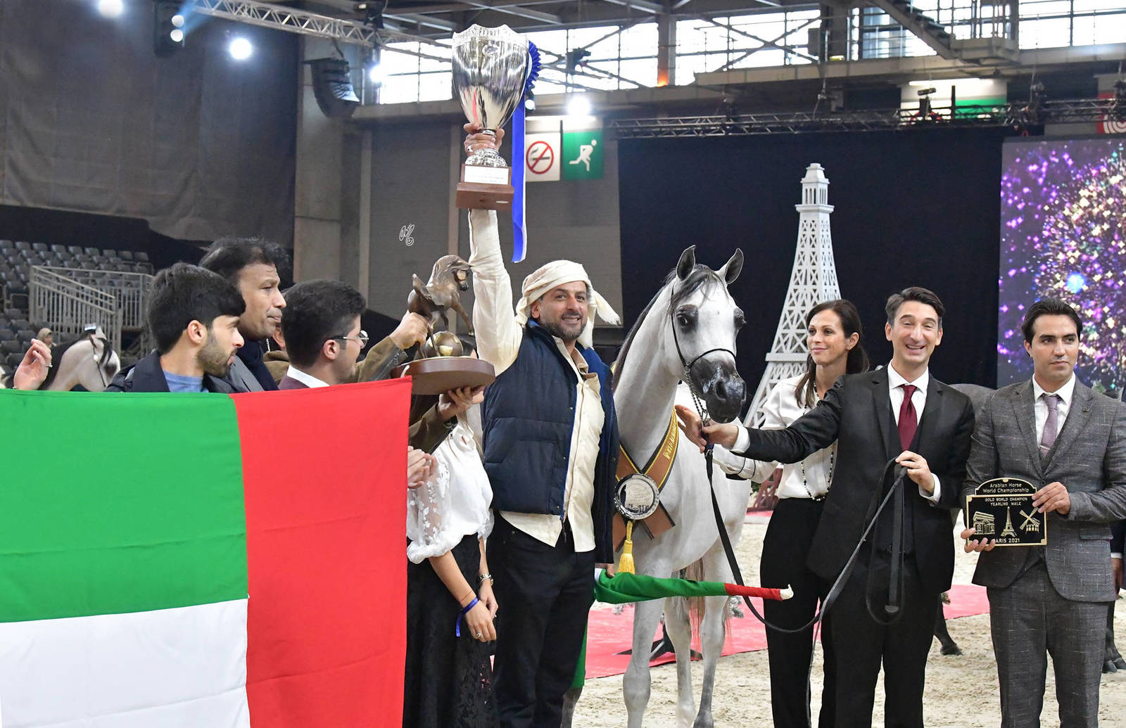 Yearling Male Gold Champion: D Shahar (D Seraj X FT Shaella)