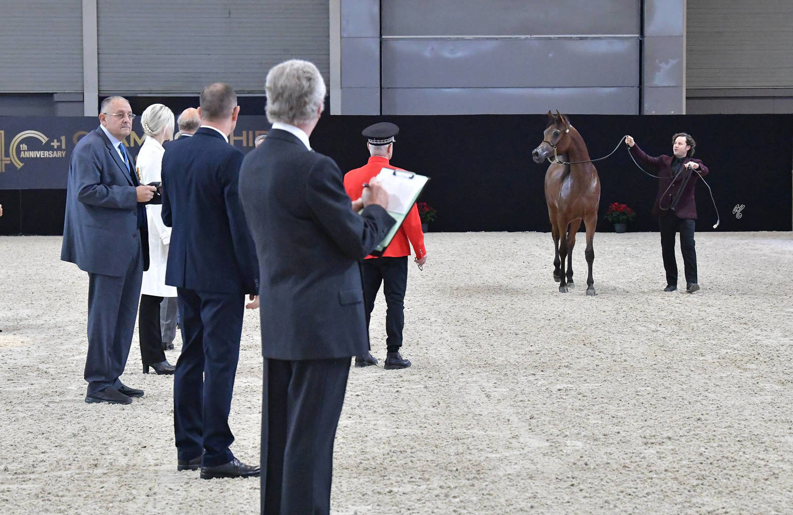Yearling Male Silver Champion: Lehon (FA El Rasheem X Aragia Vanilla)