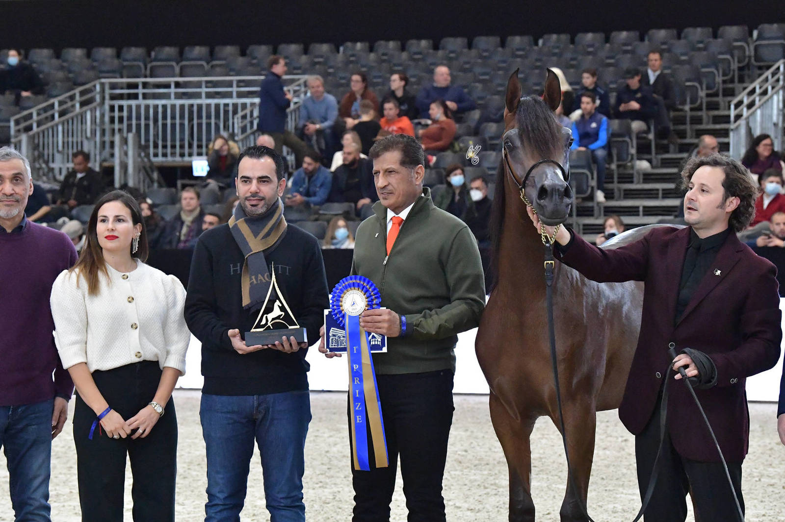 Yearling Male Silver Champion: Lehon (FA El Rasheem X Aragia Vanilla)