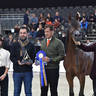 Yearling Male Silver Champion: Lehon (FA El Rasheem X Aragia Vanilla)