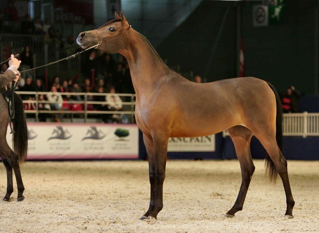 ¸Layan Al Khalediah  1  39.jpg