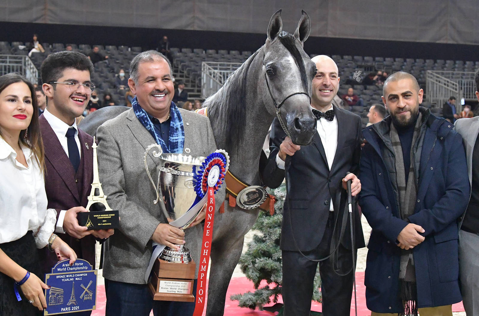 Yearling Male Bronze Champion: Ezz Alkhashab (Emerald J X Malikat Al Moluk)