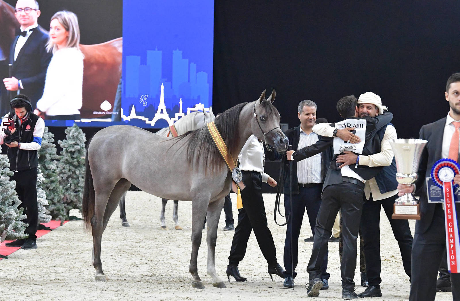 Yearling Female Gold Champion: D Beisan (D Seraj X RAH Rosalia)