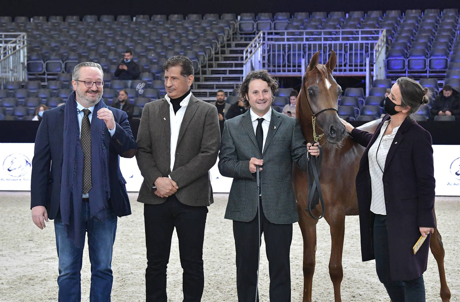 Yearling Female Silver Champion: Perfecta Al Jassimya (Picasso Di Mar X Jazanah Al Jassimya)