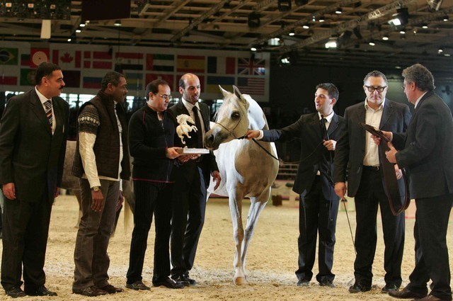 ¸Col Cora 1   69.jpg