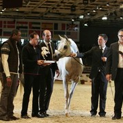 ¸Col Cora 1   69.jpg