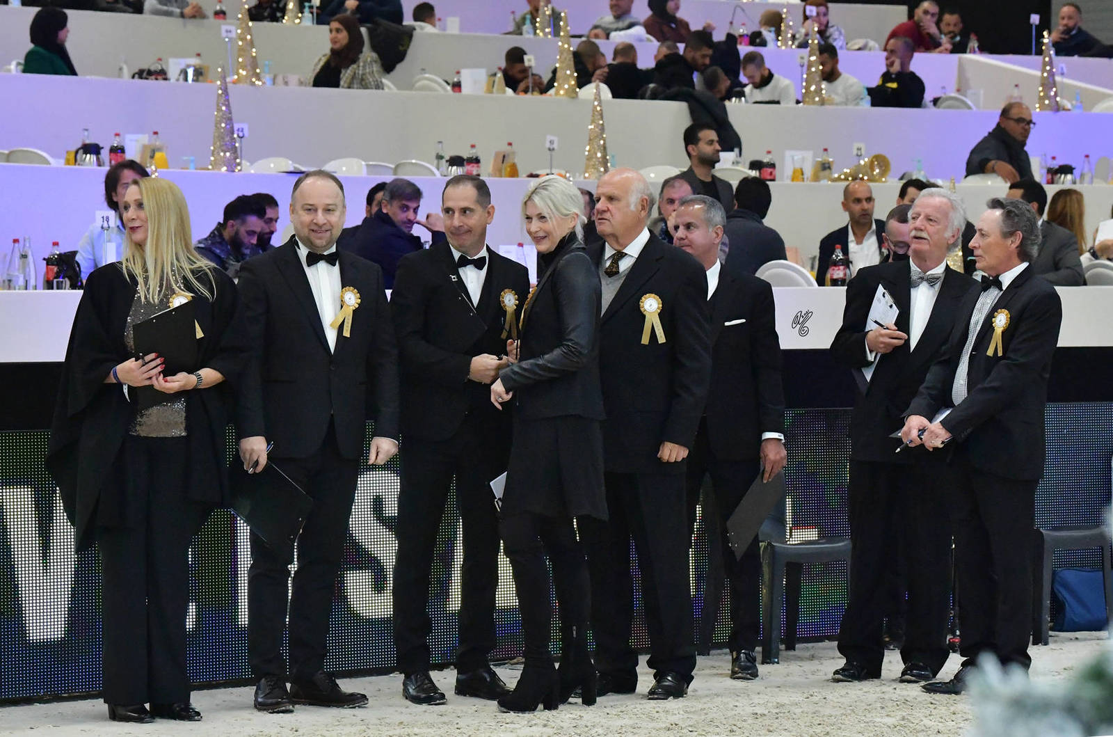 LISA ABRAHAM The 2021 Arabian Horse World Championship ~ Paris!  PHOTO GALLERY