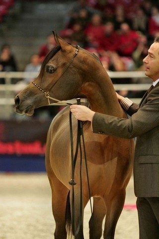 ¸Layan Al Khalediah  1  94.jpg