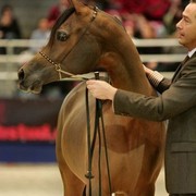 ¸Layan Al Khalediah  1  94.jpg