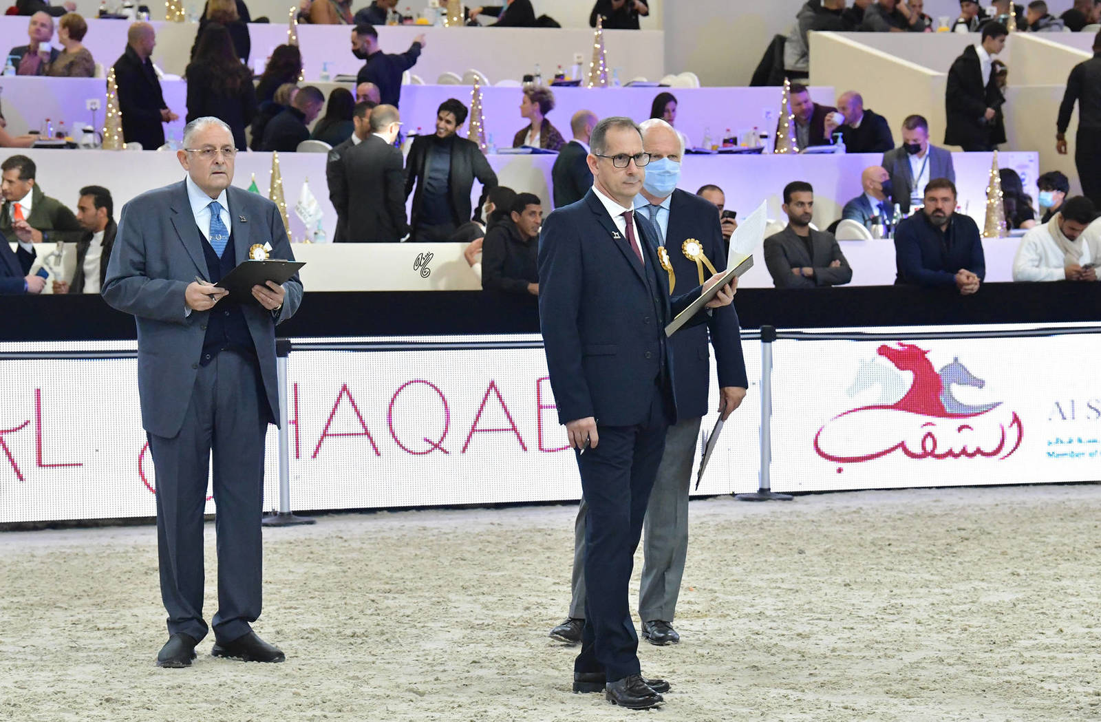 LISA ABRAHAM The 2021 Arabian Horse World Championship ~ Paris!  PHOTO GALLERY
