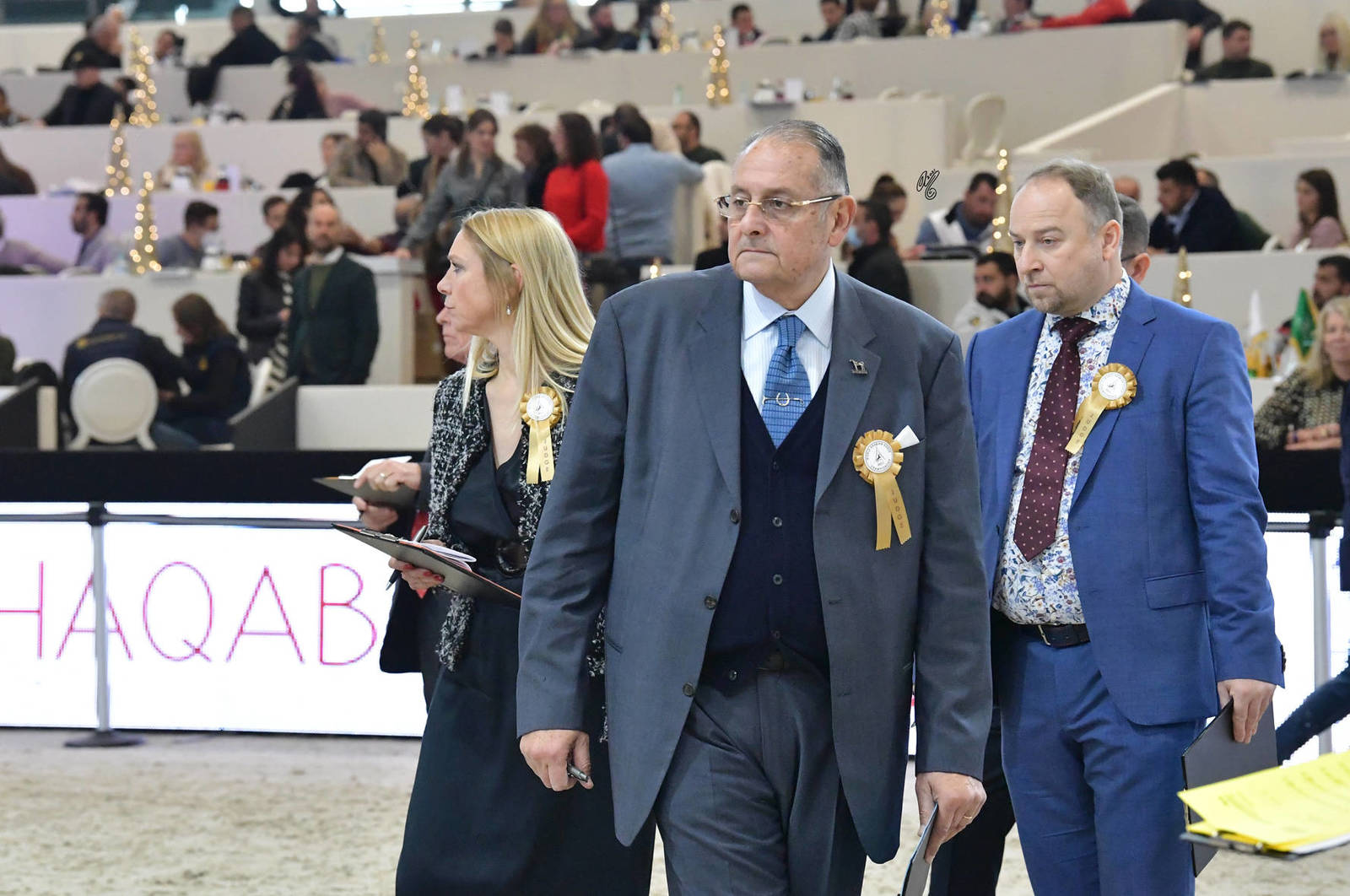 Judge Ahmed Hamza (Egypt)