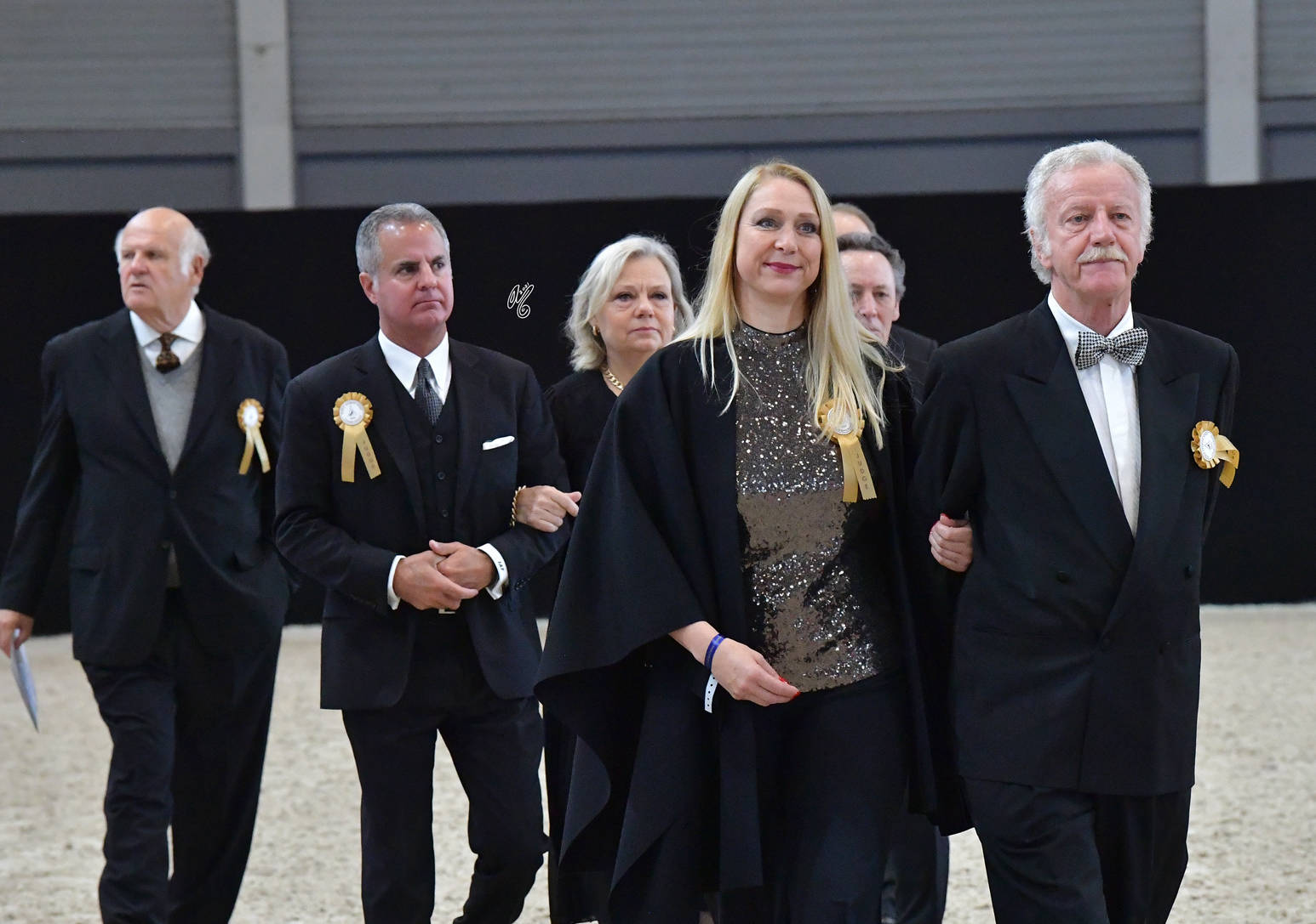 LISA ABRAHAM The 2021 Arabian Horse World Championship ~ Paris!  PHOTO GALLERY