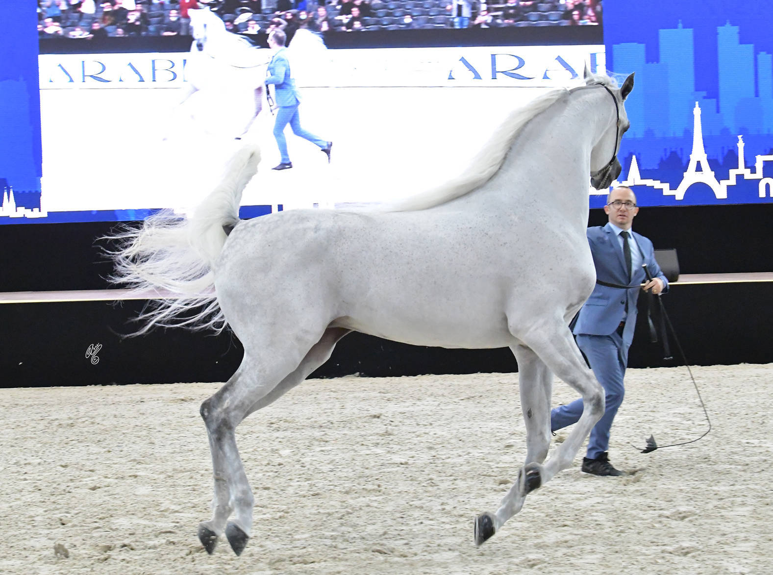 Senior Male: Raoud Albidayer