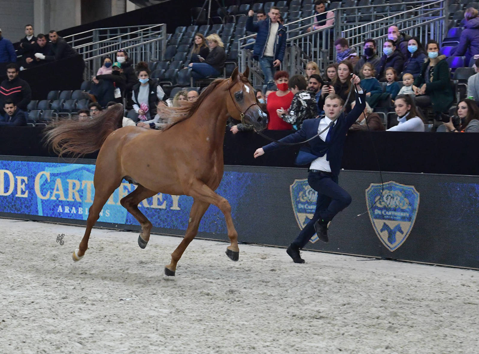 Senior Male: Erantis