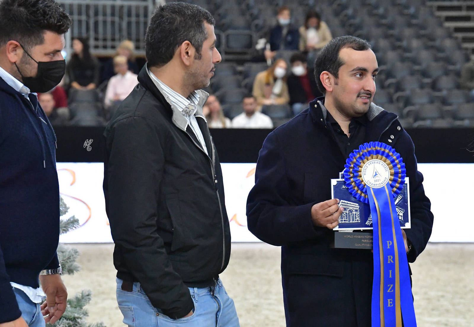 Yearling Male: Al Duhail Al Shaqab
