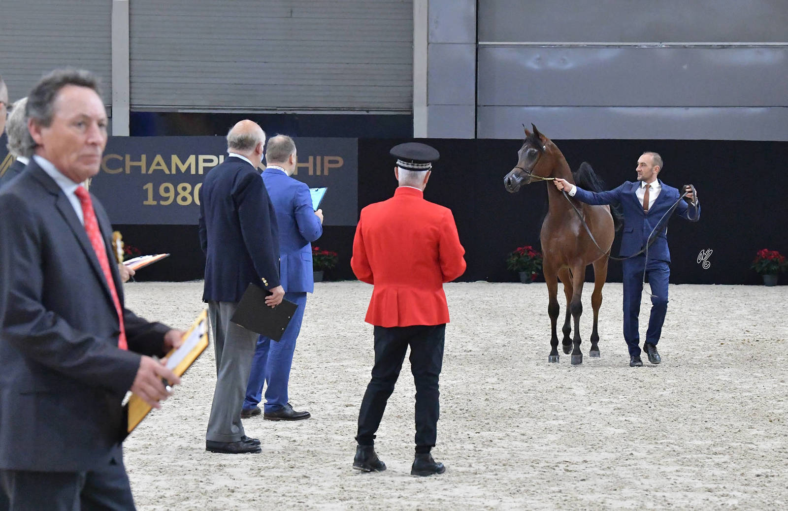 Yearling Male: Muneer KH