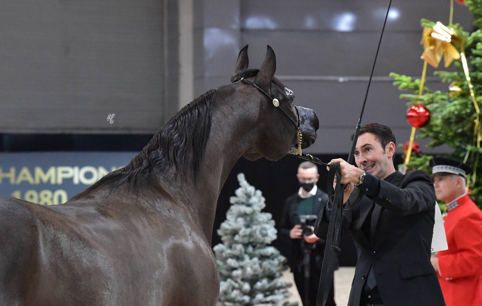 Senior Female: FS Magnums Madonna