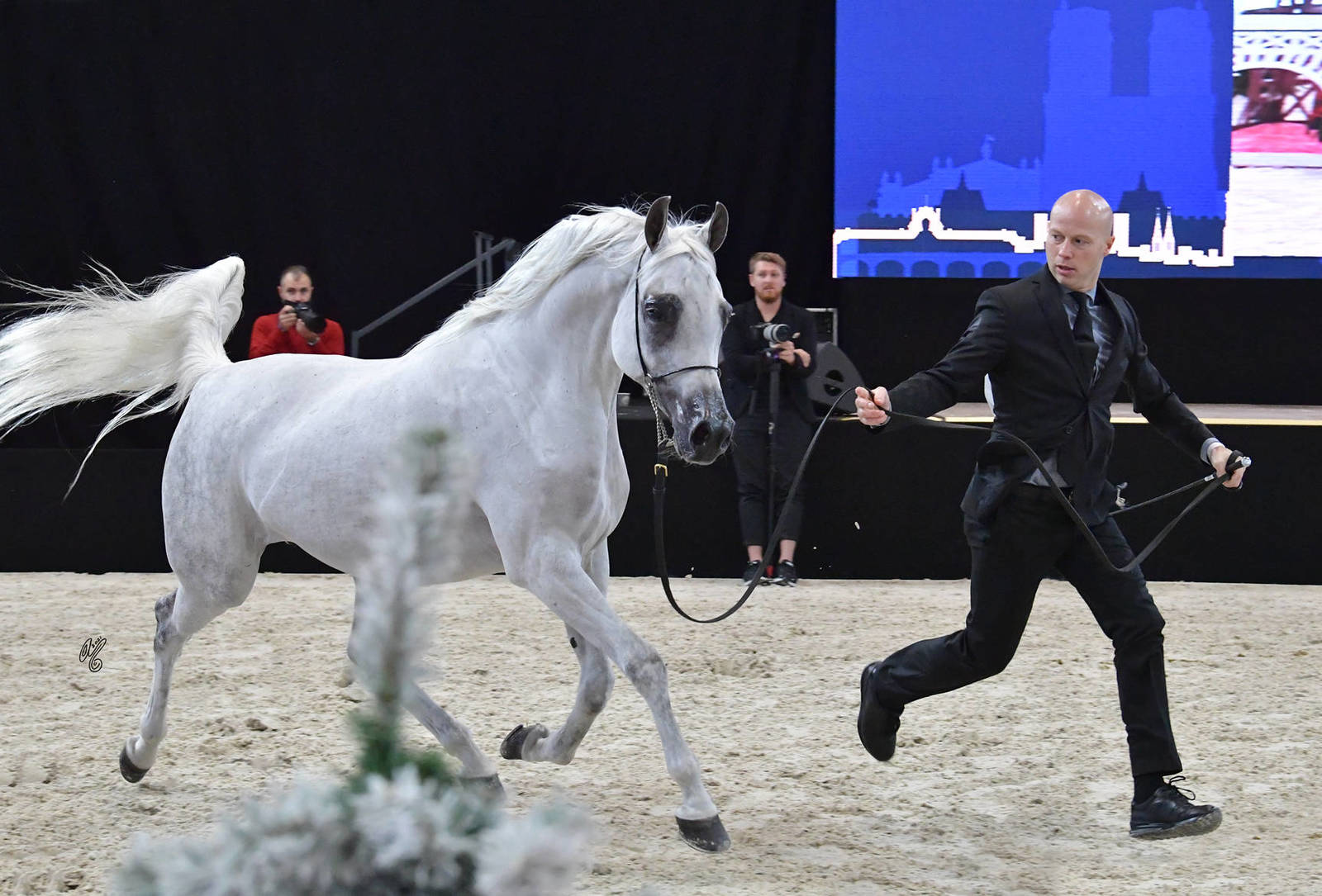 Senior Female: Anawera