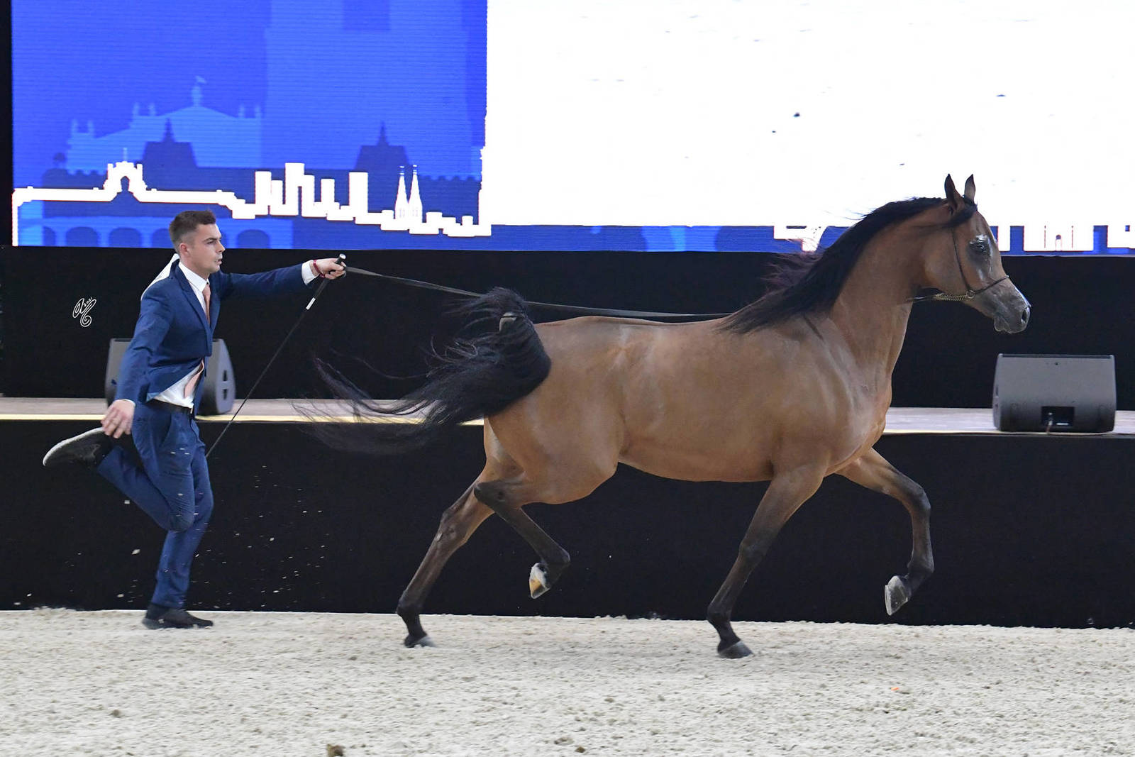 Senior Female: Protekcja