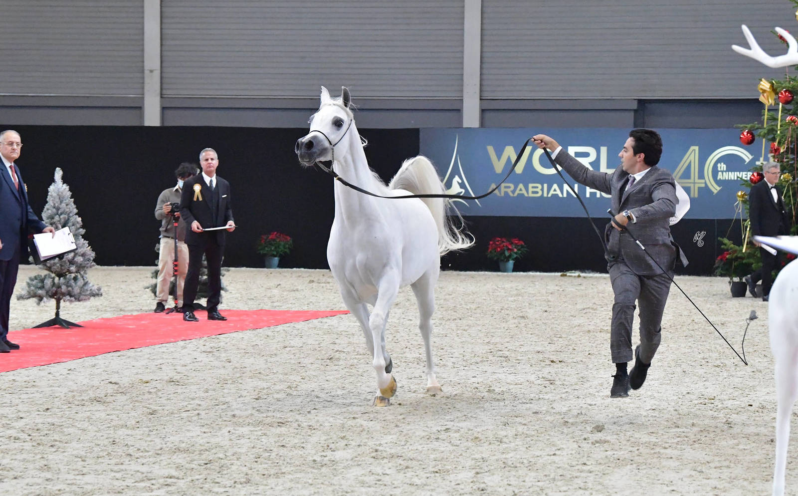 Junior Female: D Fannanah