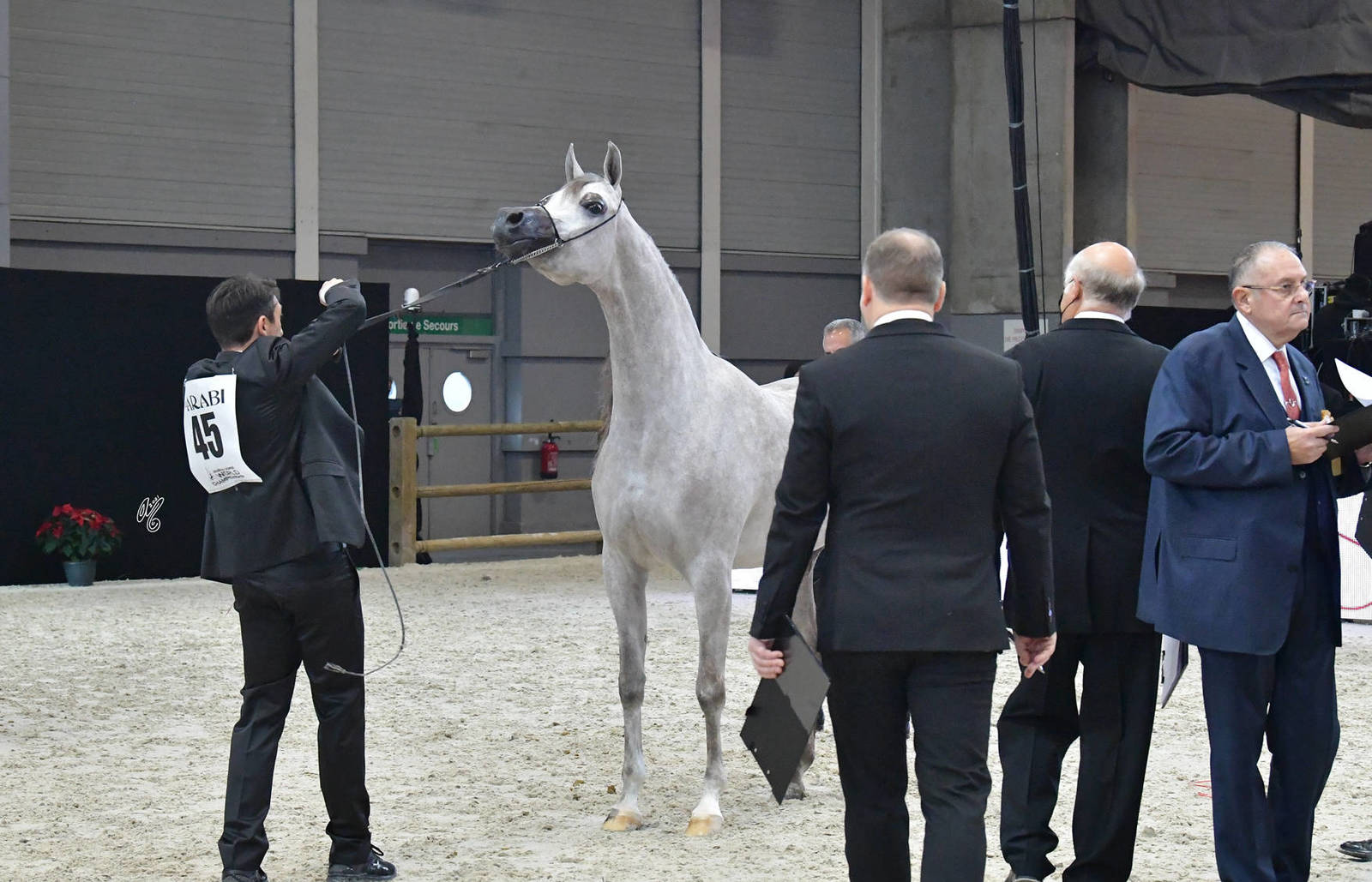 Junior Female: D Judi