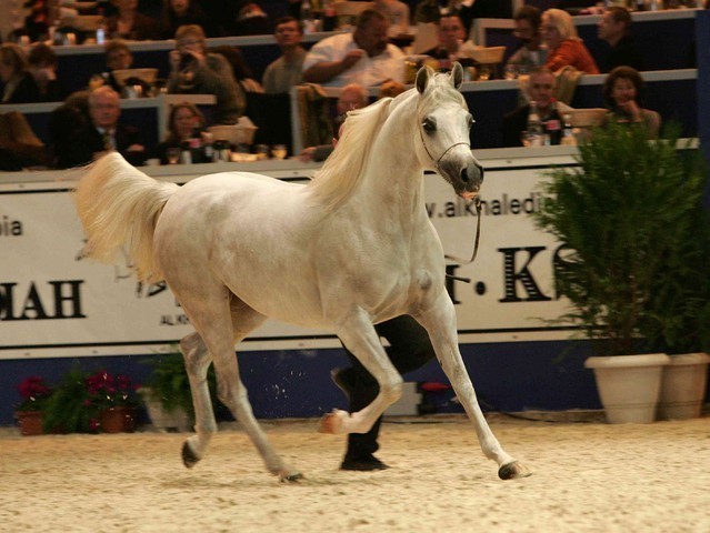 ¸Col Cora 1  32.jpg