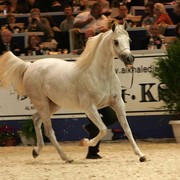 ¸Col Cora 1  32.jpg