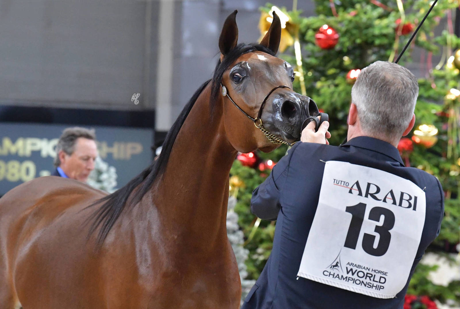 Yearling Female: CBA Mona Lisa
