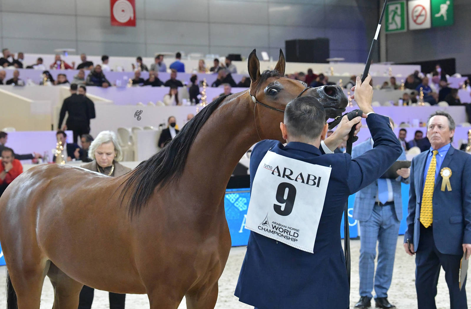 Yearling Female: D Thariah