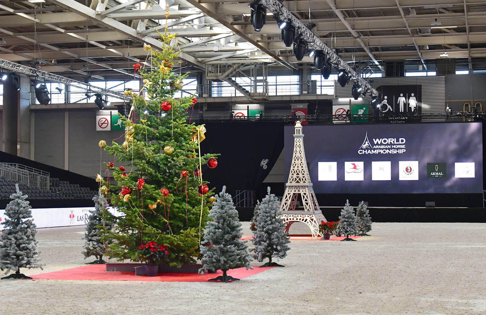 LISA ABRAHAM The 2021 Arabian Horse World Championship ~ Paris!  PHOTO GALLERY