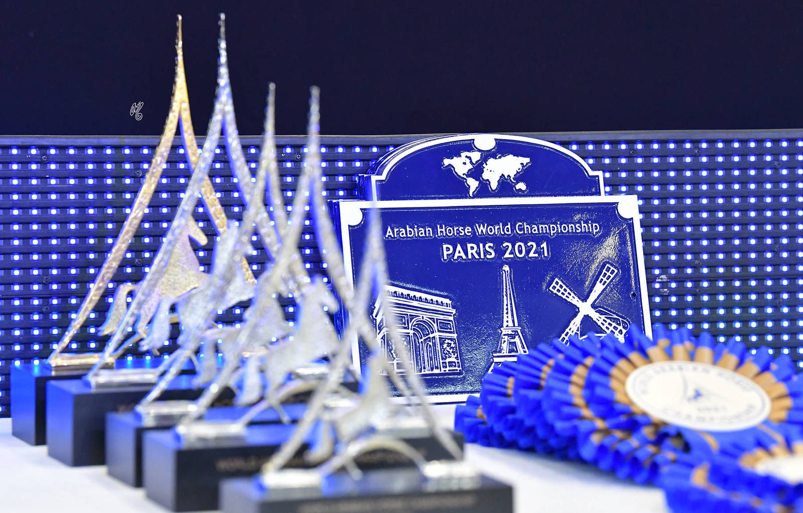 LISA ABRAHAM The 2021 Arabian Horse World Championship ~ Paris!  PHOTO GALLERY