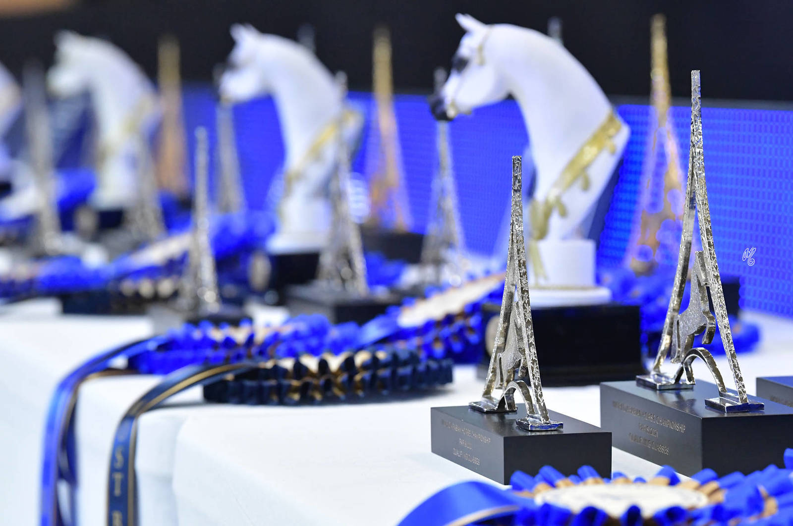 LISA ABRAHAM The 2021 Arabian Horse World Championship ~ Paris!  PHOTO GALLERY