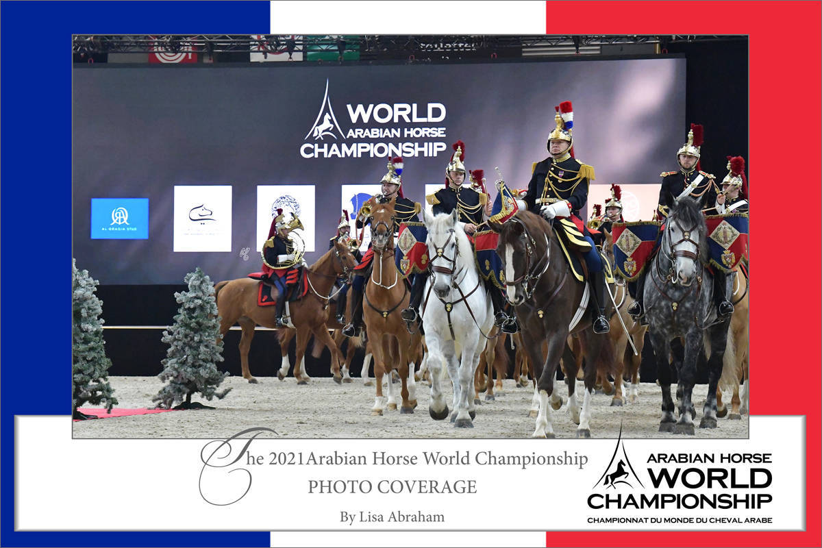 LISA ABRAHAM The 2021 Arabian Horse World Championship ~ Paris!  PHOTO GALLERY