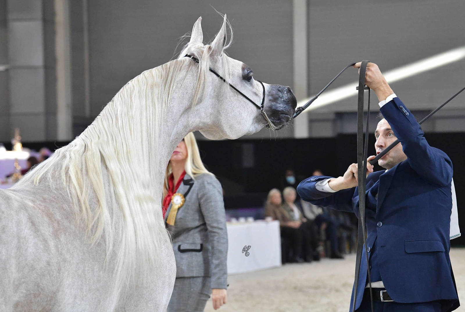 Junior Female: Iylah El Aziz