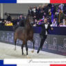 LISA ABRAHAM The 2021 Arabian Horse World Championship ~ Paris!  PHOTO GALLERY