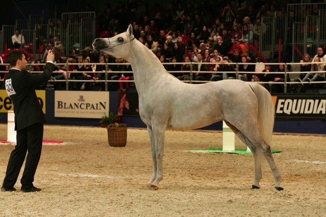 ¸Col Cora 1  07.jpg