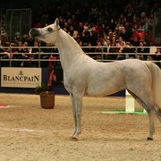 ¸Col Cora 1  07.jpg