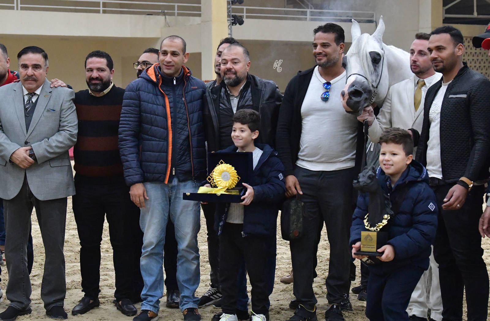 Senior Stallion Gold Champion: Bebars Al Farida (Imperial Baarez X Salma)