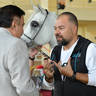 Senior Mare Silver Champion: Sayedah Al Farida (Said Hafid El Chamsin X Imperial Baalanah)