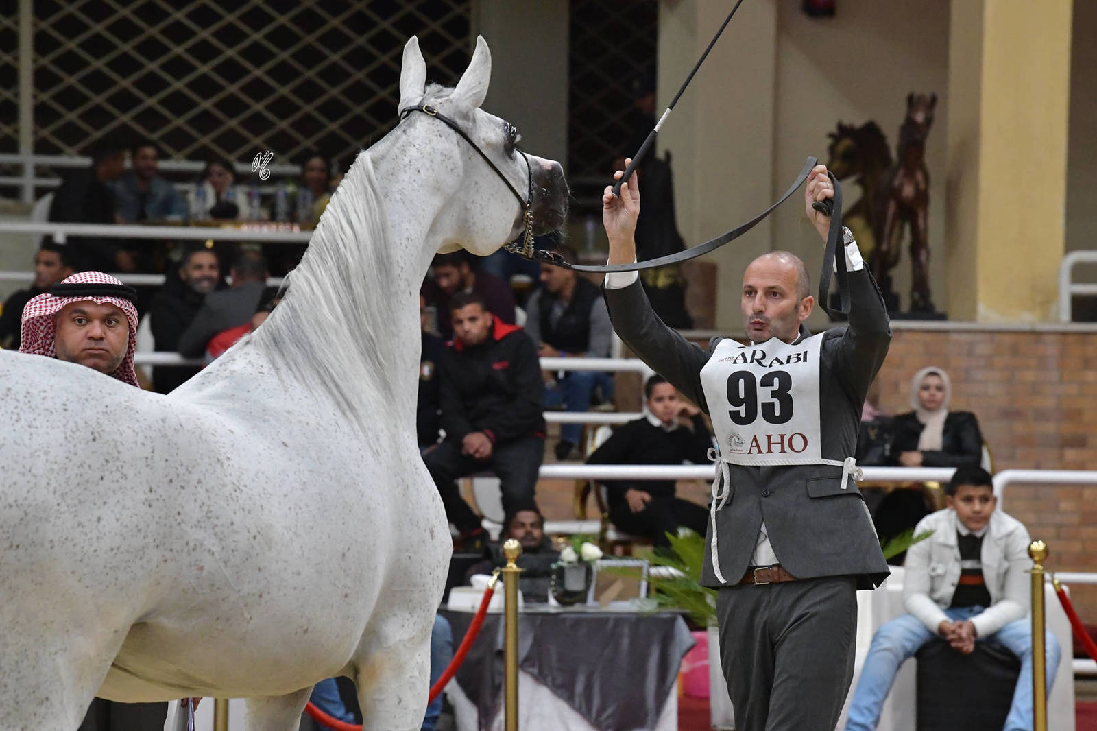 Senior Mare Bronze Champion: Layan Al Mamlaka (PCF Vision X Baleena EB)