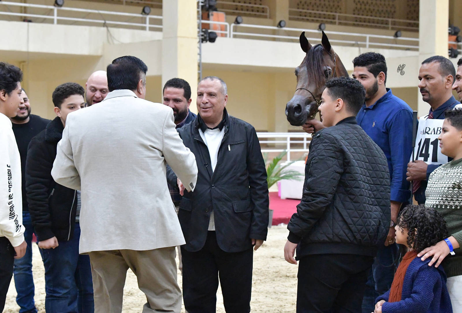 Junior Colt Gold Champion: Fayyad Oony (Al Pasha Oony X Riham Gawdat)
