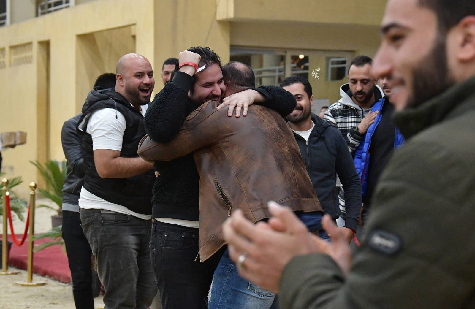 Junior Filly Gold Champion: Bawady Aal Shadhan (Mazin Al Bidayer X Farida Athbah) 