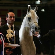 ¸Col Cora 1   81.jpg