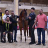 Junior Filly Gold Champion: Bawady Aal Shadhan (Mazin Al Bidayer X Farida Athbah) 