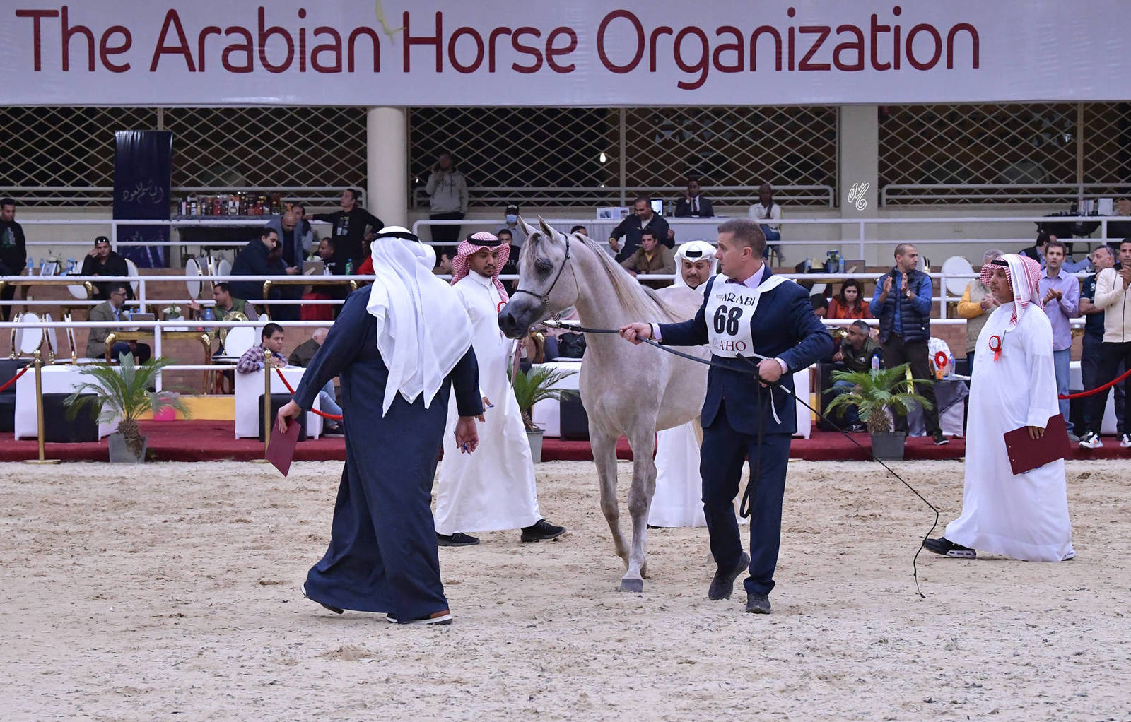 Junior Filly Bronze Champion: Ola Rabab (Seef Al Safenat X Mahala)