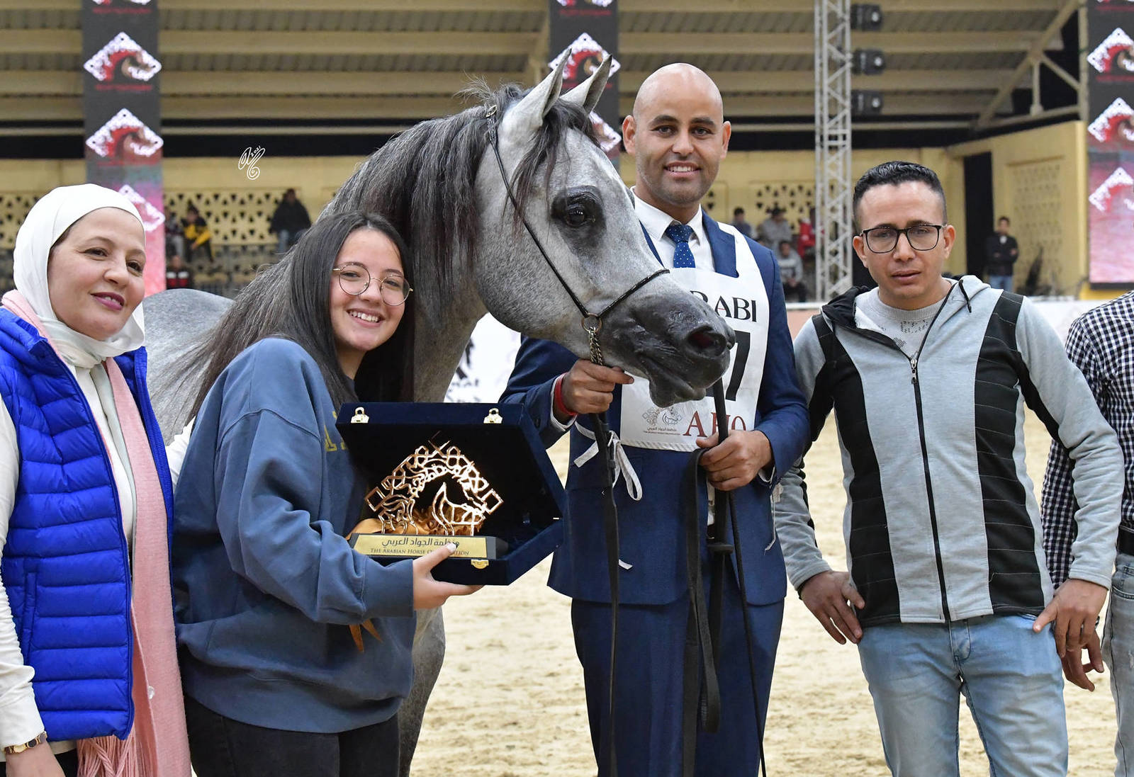 Yearling Colt Bronze Champion: Hamd Al Tarzy (Kasm Saqr X Hala Al Tarzy) 