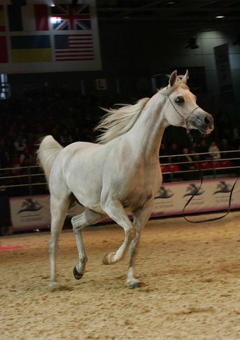 ¸Col Cora 1  62.jpg