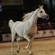 ¸Col Cora 1  62.jpg