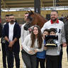 Yearling Filly Silver Champion: Badiaa Al Farida (Baarez  Al Farida X Sherouk Al Farida)